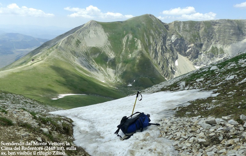 Orchidee e fiori del Monte Vettore e del Lago di Pilato � 26 giugno 2025.